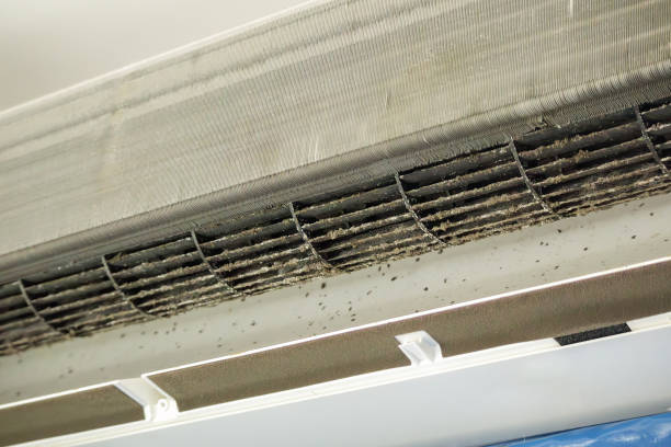 Best Dryer Vent Cleaning Services  in Keno, OR